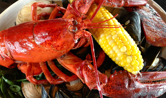 Dining at Legal Sea Foods