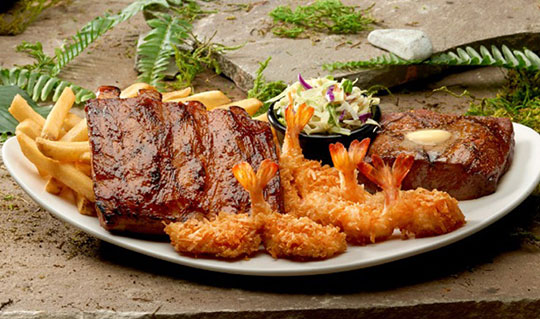 Dining at Rainforest Cafe